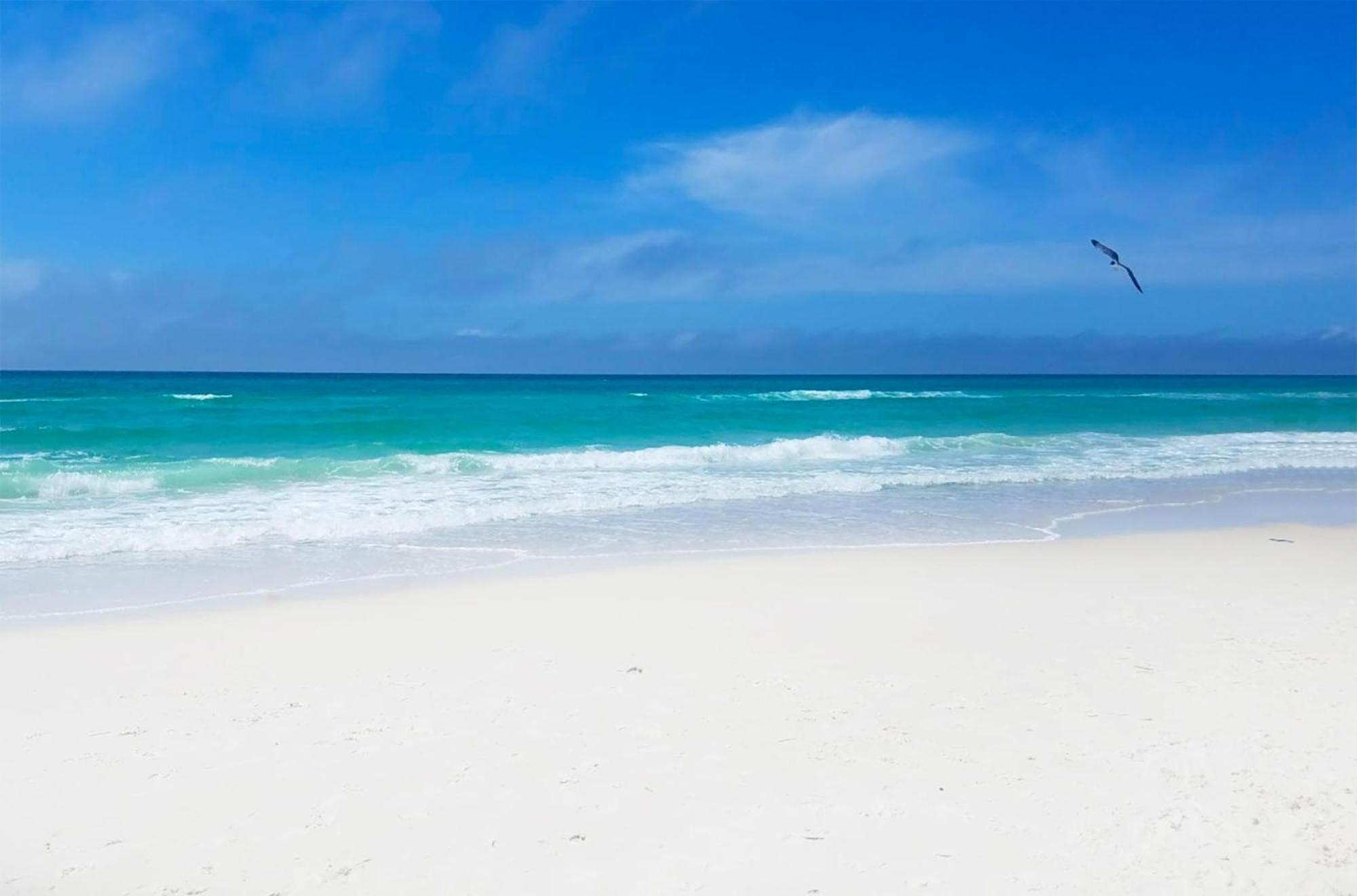 Laketown Wharf 1626 Panama City Beach Ngoại thất bức ảnh